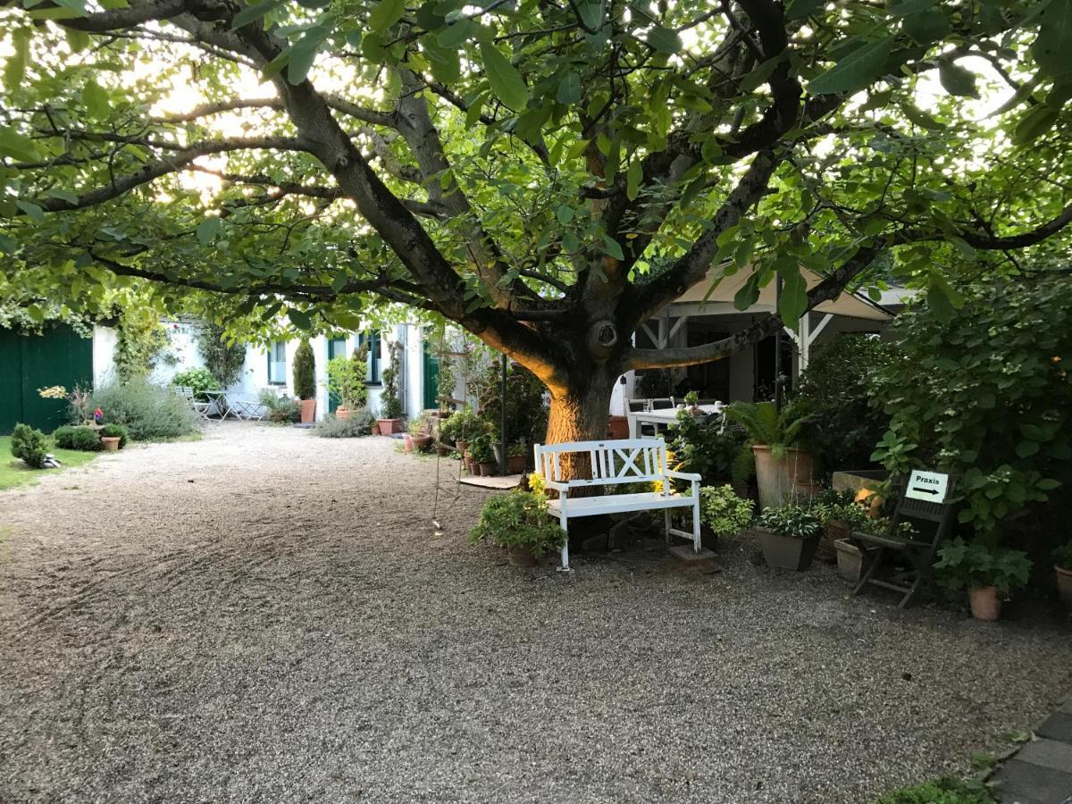 Ferien- Und Messewohnung In Meerbusch Zewnętrze zdjęcie